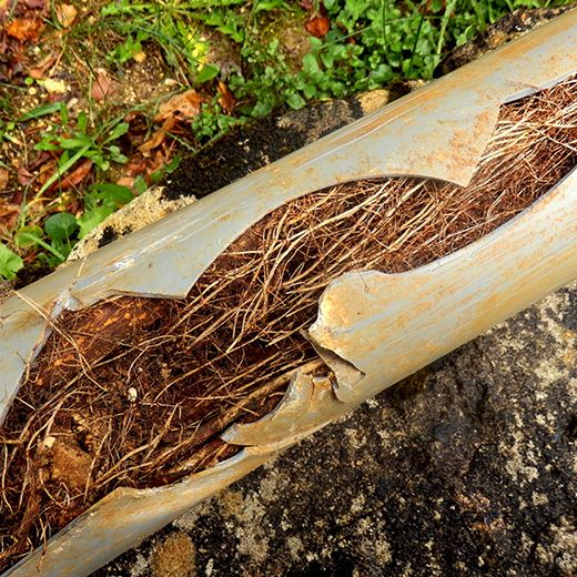 Same Day Drain Sewer & Rooter Pros Across Campton
